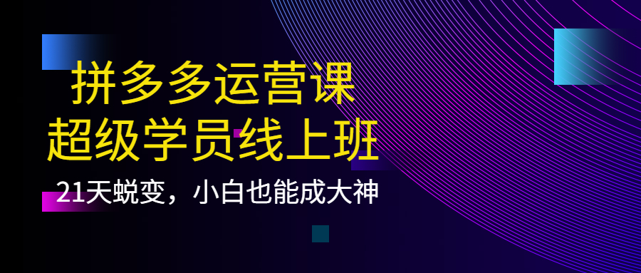 拼多多运营课：超级学员线上班，21天蜕变，小白也能成大神-牵机网