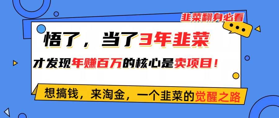 悟了，当了3年韭菜，才发现网赚圈年赚100万的核心是卖项目，含泪分享！-牵机网