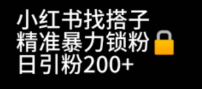 小红书找搭子暴力精准锁粉+引流日引200+精准粉-牵机网