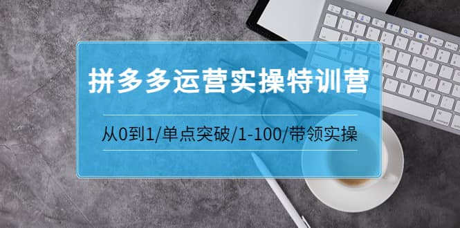拼多多运营实操特训营：从0到1/单点突破/1-100/带领实操 价值2980元-牵机网