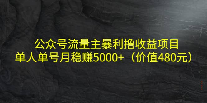 公众号流量主暴利撸收益项目，单人单号月稳赚5000+（价值480元）-牵机网