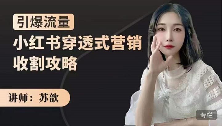 小红书穿透式营销收割攻略，引爆流量，助你玩转小红书-牵机网