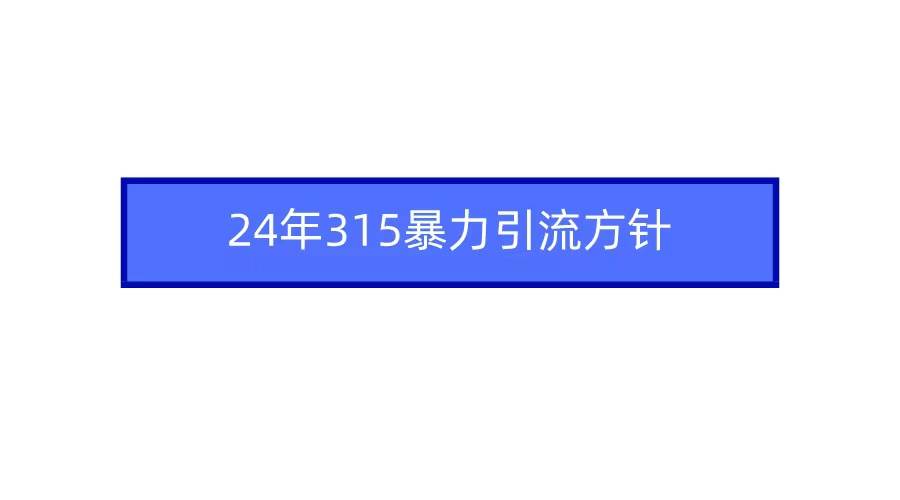 2024年315暴力引流方针-牵机网