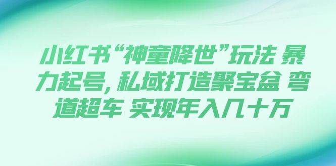 小红书“神童降世”玩法 暴力起号,私域打造聚宝盆 弯道超车 实现年入几十万-牵机网