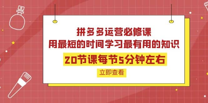 拼多多运营必修课：20节课每节5分钟左右，用最短的时间学习最有用的知识-牵机网