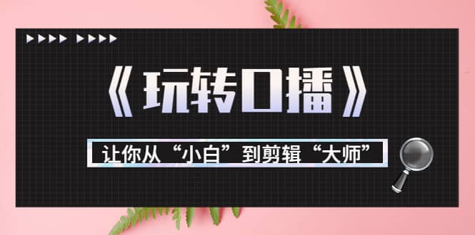月营业额700万+大佬教您《玩转口播》让你从“小白”到剪辑“大师”-牵机网