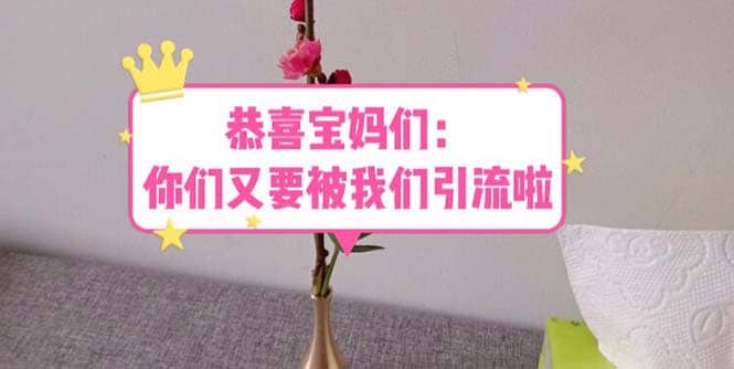 恭喜宝妈们：你们又要被我们引流了（教程+222g资料）-牵机网