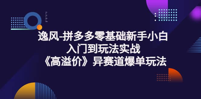 拼多多零基础新手小白入门到玩法实战《高溢价》异赛道爆单玩法实操课-牵机网