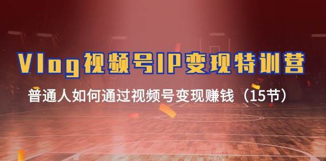 Vlog 视频号IP变现特训营，普通人如何通过视频号变现赚钱（15节）-牵机网
