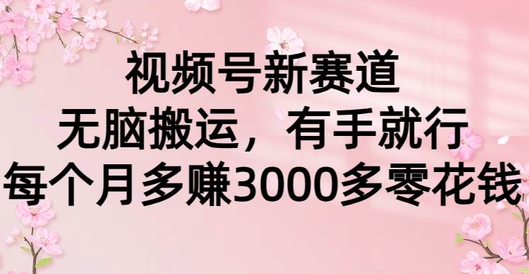 视频号新赛道，无脑搬运，有手就行，每个月多赚3000多零花钱-牵机网