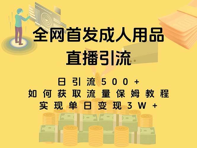 最新全网独创首发，成人用品直播引流获客暴力玩法，单日变现3w保姆级教程-牵机网