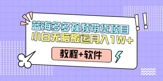 人人都能操作的蓝海多多视频带货项目 小白无脑搬运（教程+软件）-牵机网