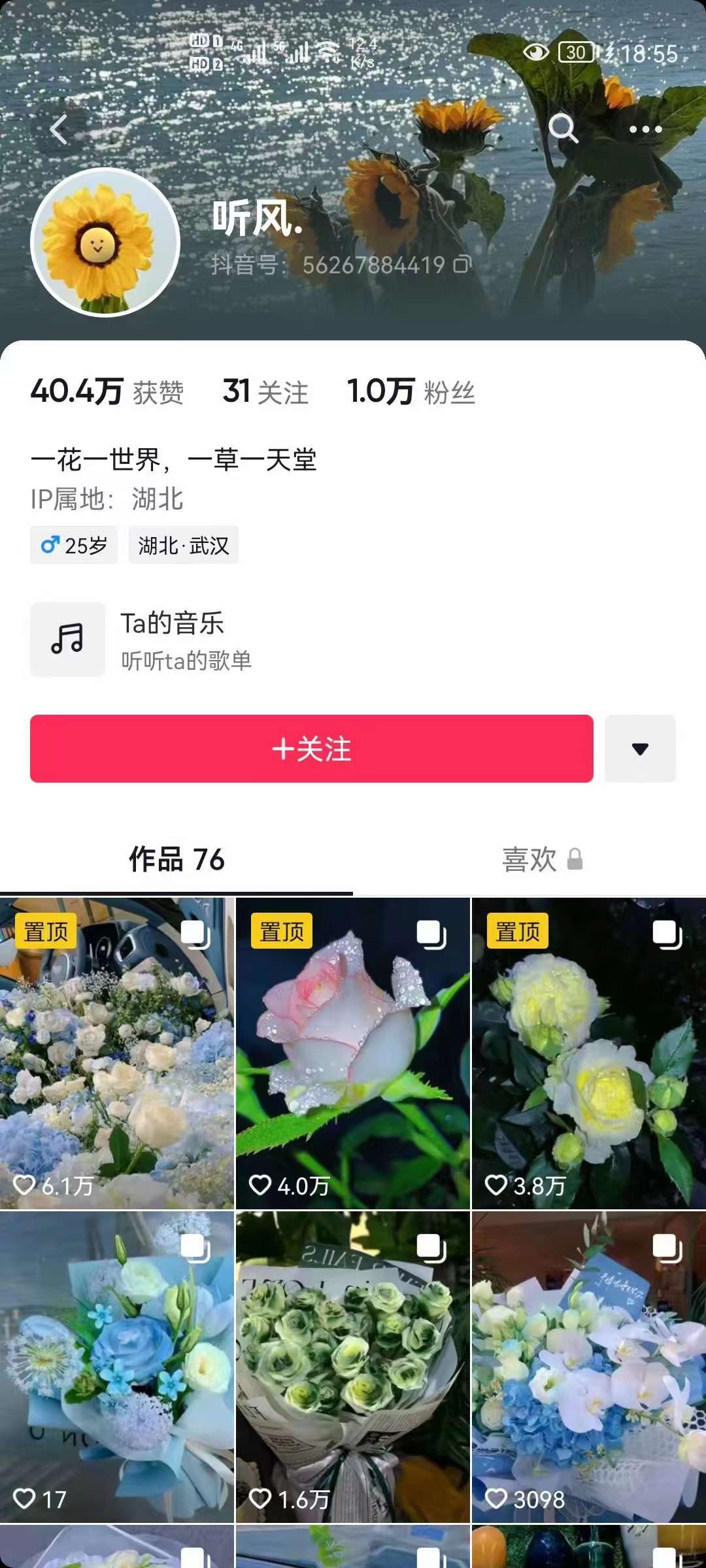 图片[2]-抖音壁纸变现项目：实战日入380+发布壁纸素材获取收益！-牵机网