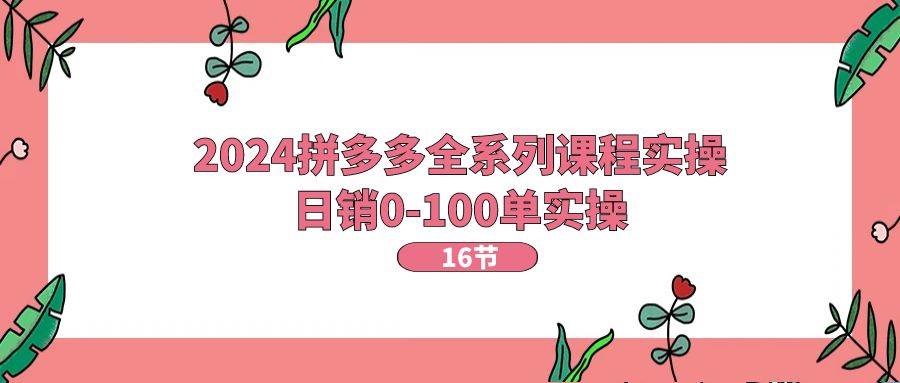 2024拼多多全系列课程实操，日销0-100单实操【16节课】-牵机网