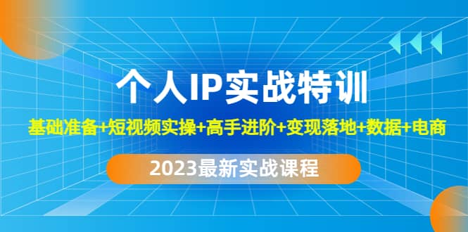 2023个人IP实战特训：基础准备+短视频实操+高手进阶+变现落地+数据+电商-牵机网