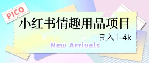 最新小红书情趣用品项目，日入1-4k-牵机网