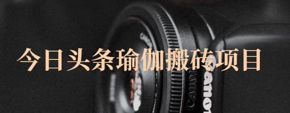 猎人社区·今日头条瑜伽搬砖项目，单号一天几十收入，可以批量操作！-牵机网