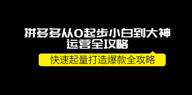 拼多多从0起步小白到大神运营全攻略-牵机网