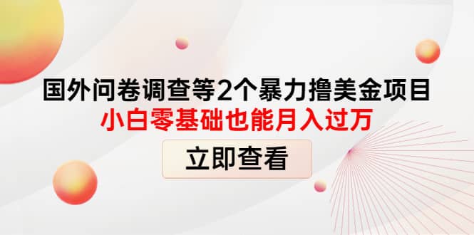 国外问卷调查等2个暴力撸美元项目，小白零基础也能月入过万-牵机网