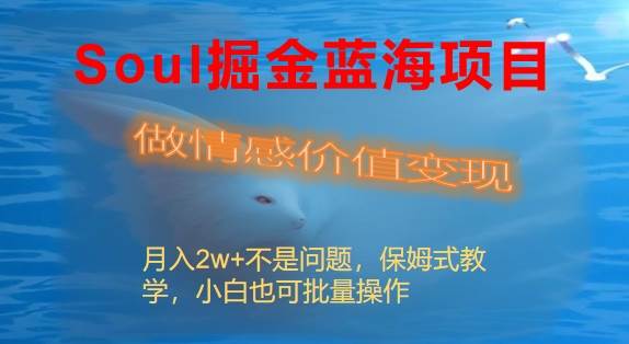 Soul掘金蓝海项目细分赛道，做情感价值变现，月入2w+不是问题-牵机网