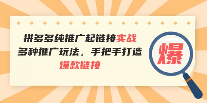 拼多多纯推广起链接实战：多种推广玩法，手把手打造爆款链接-牵机网