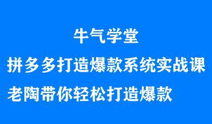 牛气学堂拼多多打造爆款系统实战课，老陶带你轻松打造爆款-牵机网