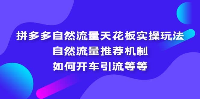 拼多多自然流量天花板实操玩法：自然流量推荐机制，如何开车引流等等-牵机网
