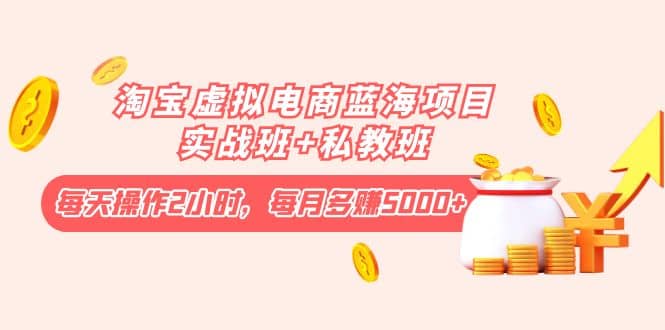 淘宝虚拟电商蓝海项目实战班+私教班-牵机网