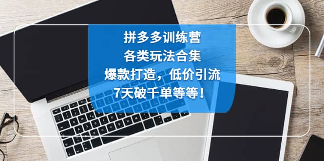 拼多多训练营：各玩法合集，爆款打造，低价引流，7天破千单等等-牵机网