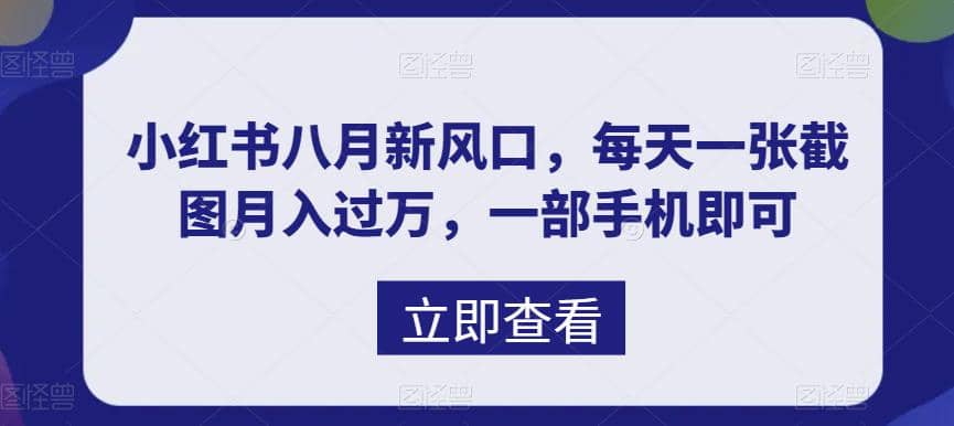 八月新风口，小红书虚拟项目一天收入1000+，实战揭秘-牵机网