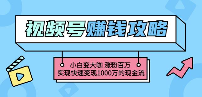 玩转微信视频号赚钱：小白变大咖涨粉百万实现快速变现1000万的现金流-牵机网