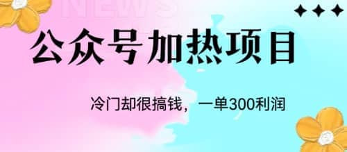 冷门公众号加热项目，一单利润300+-牵机网