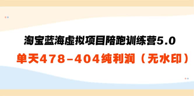 淘宝蓝海虚拟项目陪跑训练营5.0：单天478纯利润（无水印）-牵机网