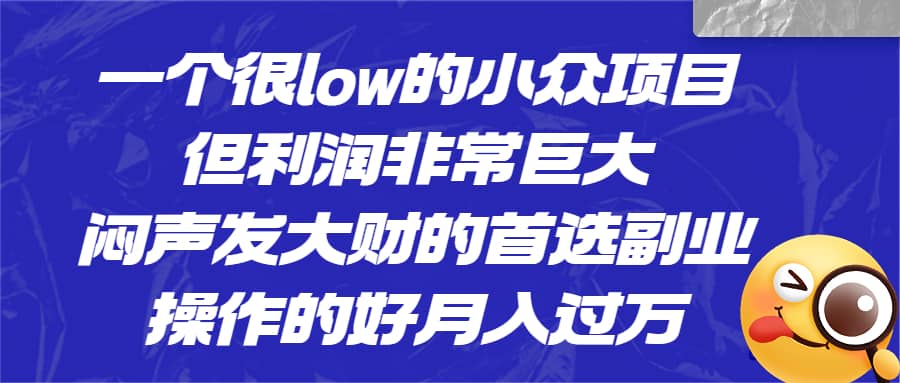 一个很low的小众项目，但利润非常巨大，闷声发大财的首选副业，月入过万-牵机网