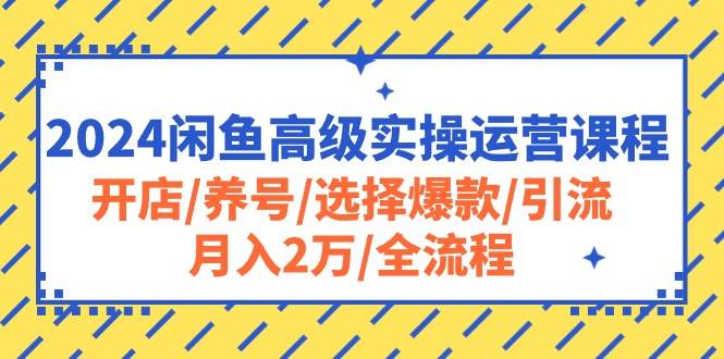 2024闲鱼高级实操运营课程：开店/养号/选择爆款/引流/月入2万/全流程-牵机网