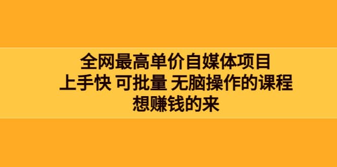 全网最单高价自媒体项目：上手快 可批量 无脑操作的课程，想赚钱的来-牵机网