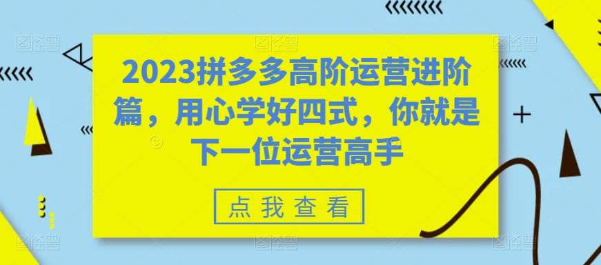 2023拼多多高阶运营进阶篇，用心学好四式，你就是下一位运营高手-牵机网