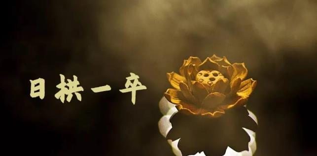 无脑搬砖，普通人可以复制的副业赚钱项目(附软件)-牵机网