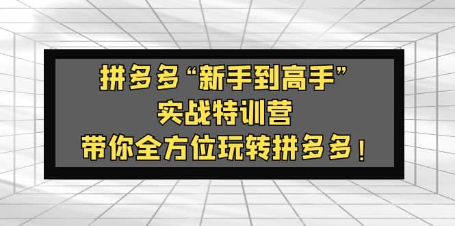 拼多多“新手到高手”实战特训营：带你全方位玩转拼多多-牵机网