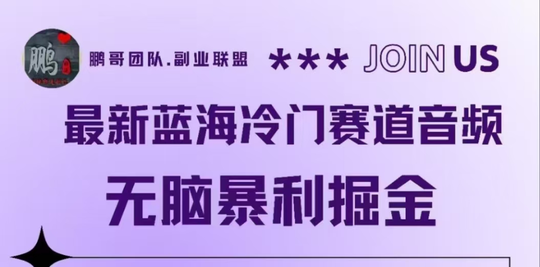 最新蓝海冷门赛道音频，无脑暴利掘金-牵机网