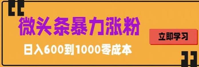 微头条暴力涨粉技巧搬运文案就能涨几万粉丝，简单0成本，日赚600-牵机网