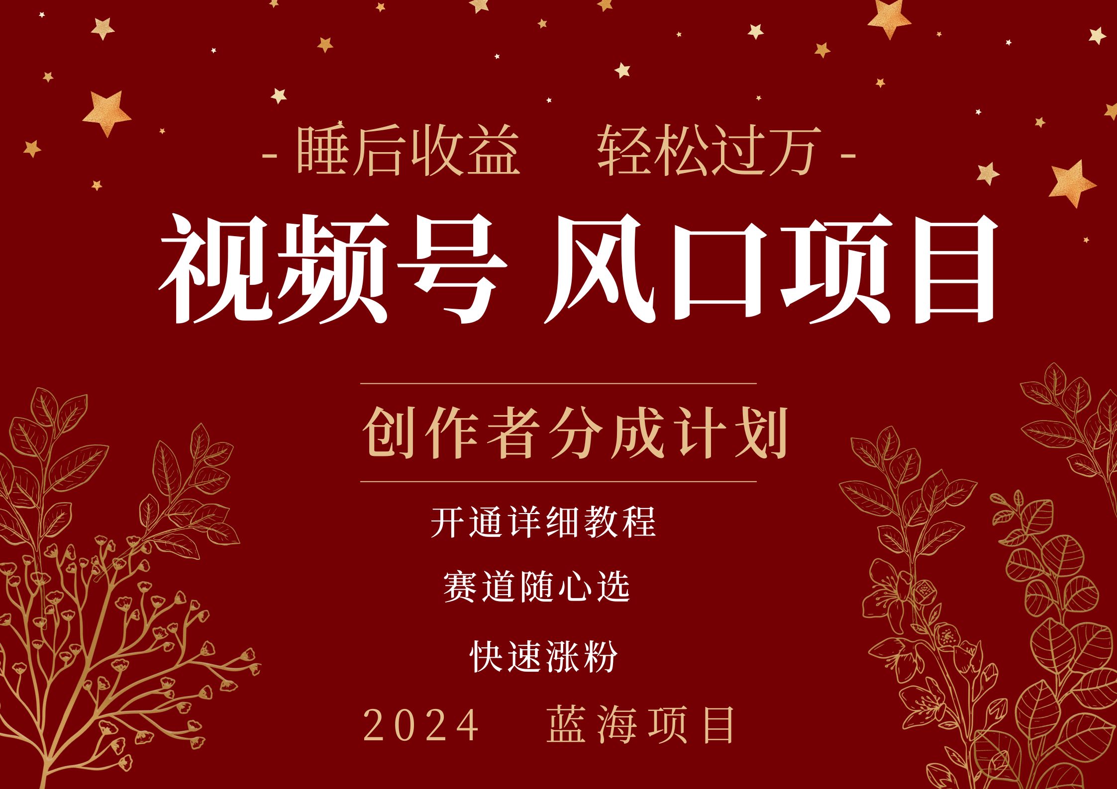 拥有睡眠收益的微信视频号大风口项目，轻松月入过万+，多赛道选择，可矩阵，玩法简单轻松上手-牵机网