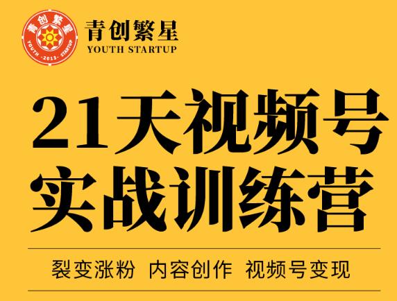 张萌21天视频号实战训练营，裂变涨粉、内容创作、视频号变现 价值298元-牵机网