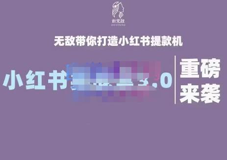 谢无敌·小红书实战营3.0，无敌带你打造小红书提款机 价值7999元-牵机网