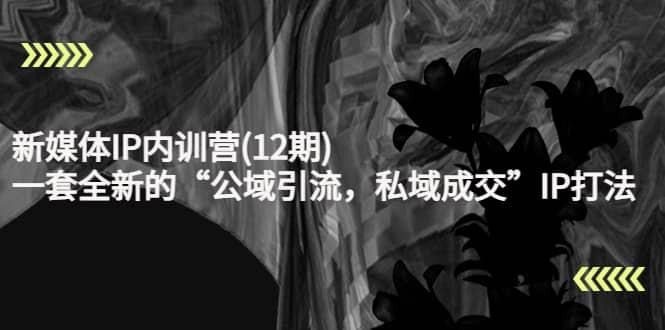 新媒体IP内训营(12期)，一套全新的“公域引流，私域成交”IP打法，直接带走-牵机网
