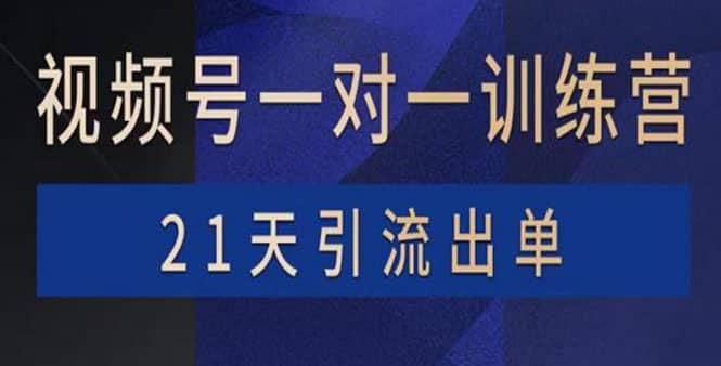 视频号训练营：带货，涨粉，直播，游戏，四大变现新方向，21天引流出单-牵机网