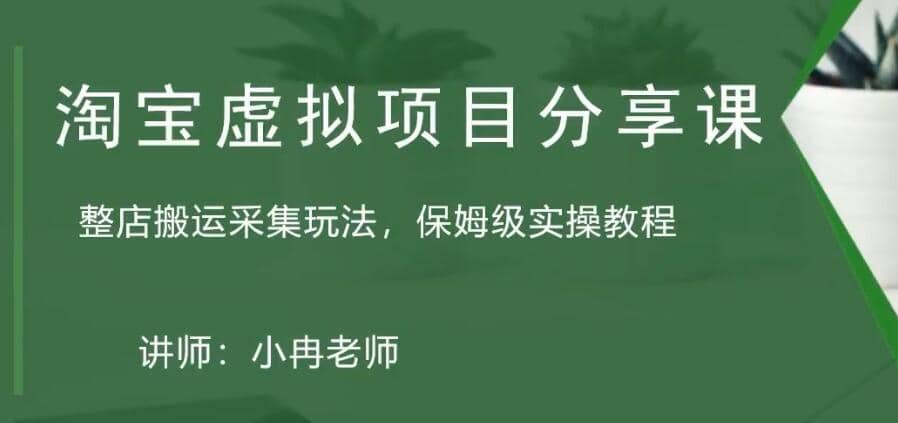 淘宝虚拟整店搬运采集玩法分享课：整店搬运采集玩法，保姆级实操教程-牵机网