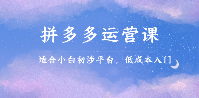 拼多多运营课，适合小白初涉平台，低成本入门-牵机网