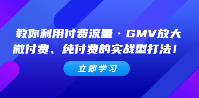 教你利用付费流量·GMV放大，微付费、纯付费的实战型打法-牵机网