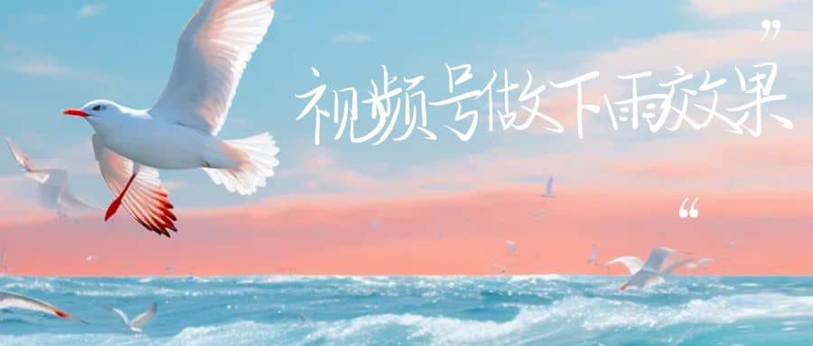 视频号做下雨视频一个账号一周涨粉10W+年入100w-牵机网